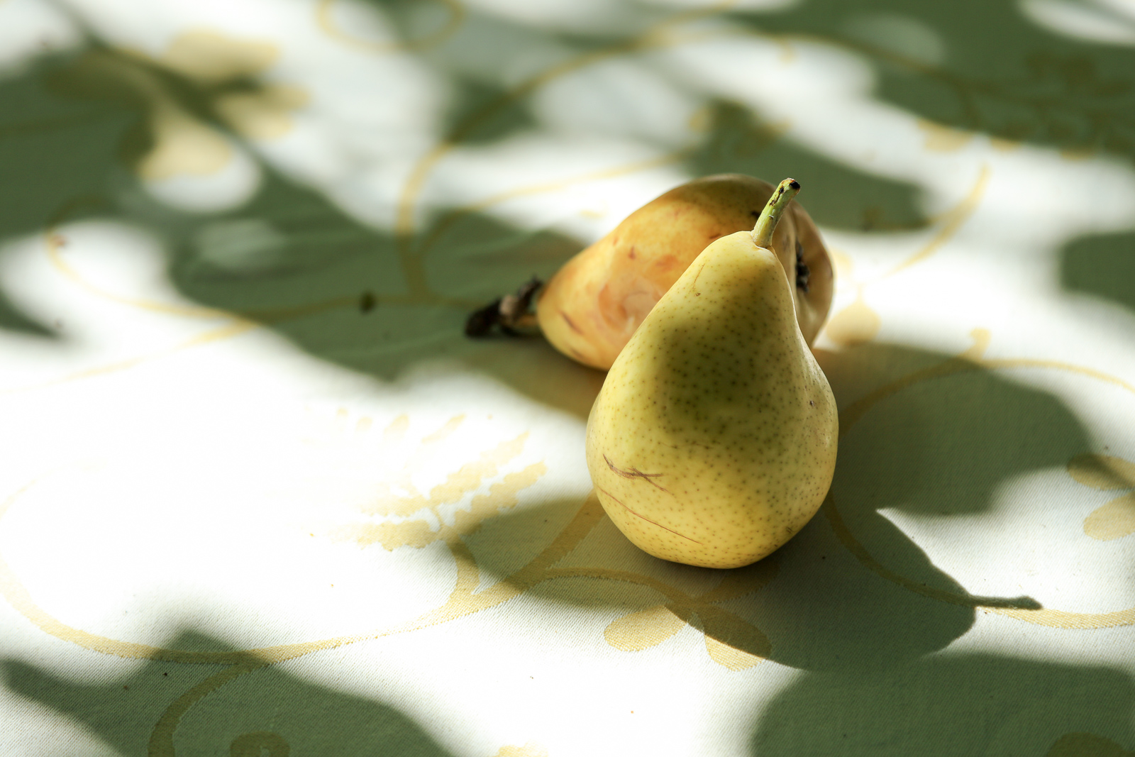 The Pears